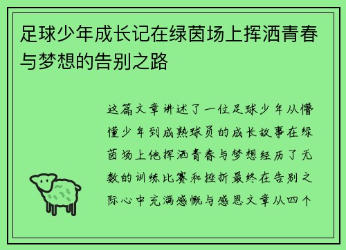 足球少年成长记在绿茵场上挥洒青春与梦想的告别之路